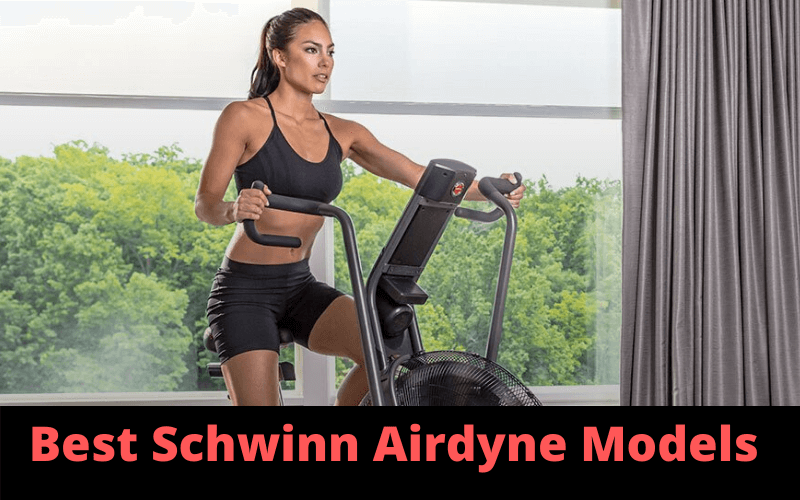 Best Schwinn Airdyne Models Comparison
