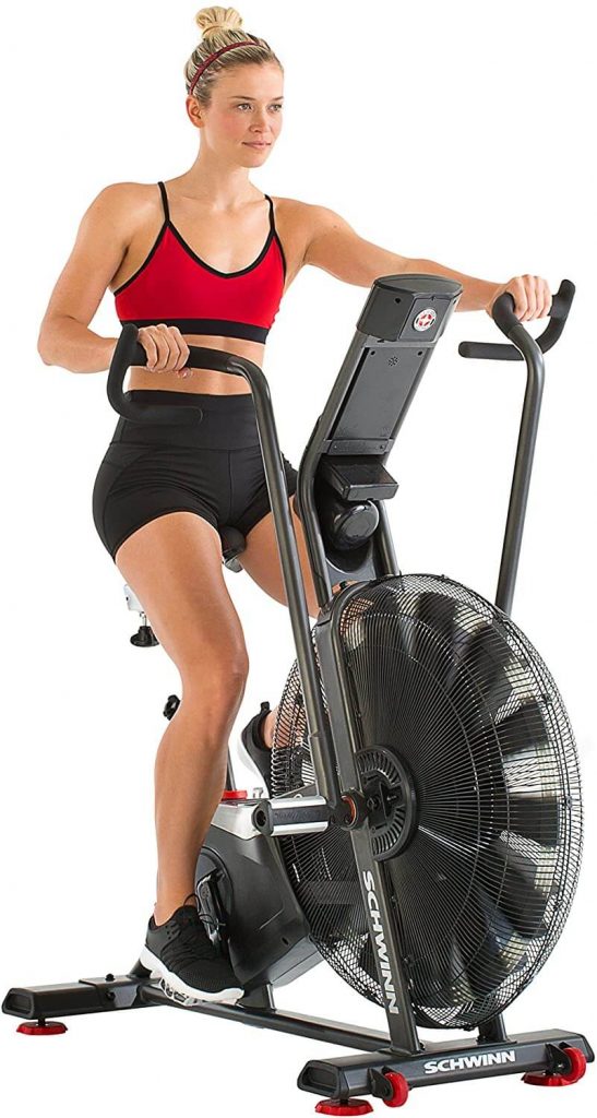 schwinn airdyne ad7 vs rogue echo