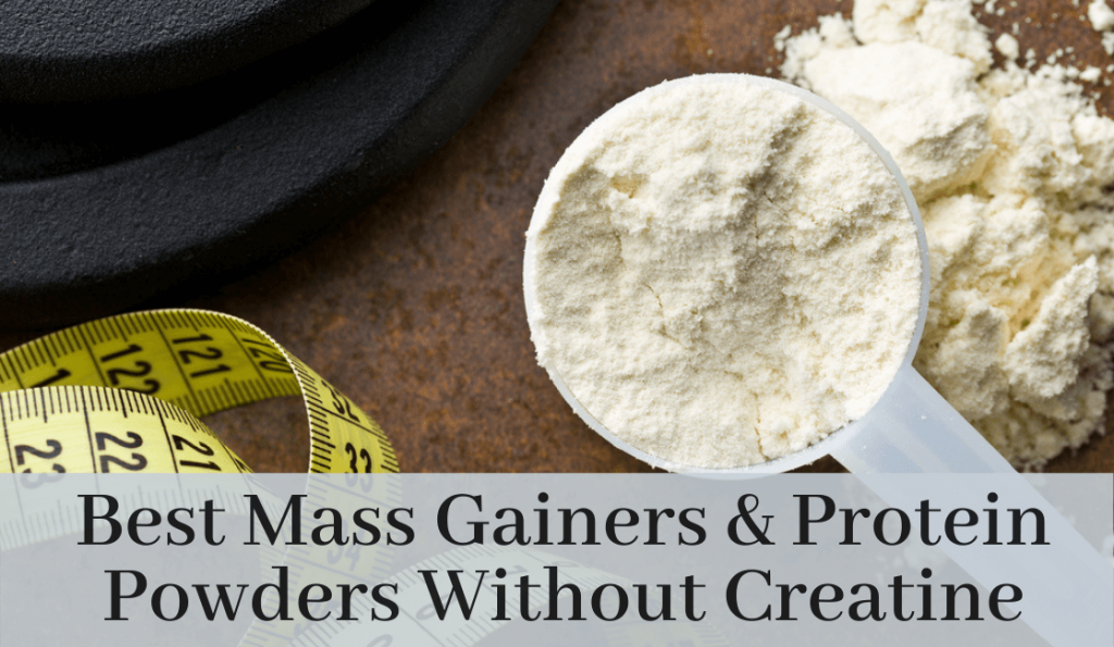 Best Mass Gainers and Protein Powders without Creatine